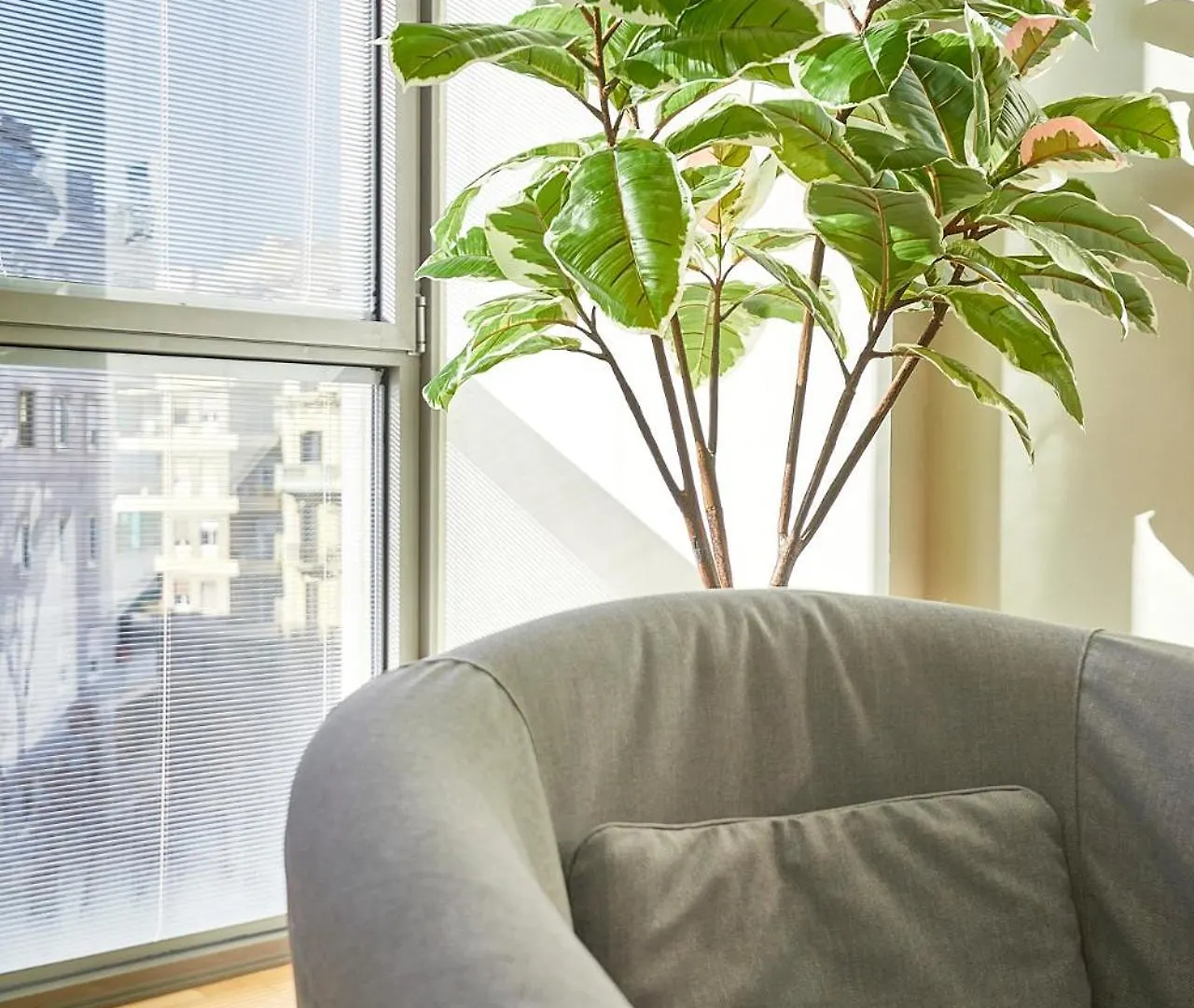Apartment Bbarcelona Placa Universitat Flat